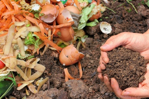 mistermis436's tweet photo. Memanfaatkan 
Sampah organik adalah sampah rumah tangga yang berupa sisa makanan seperti sayuran atau buah-buahan bisa juga berupa bumbu dapur yang sudah tidak terpakai bisa di olah sampah organik...
#Wwlovecities
#WeloveProbolinggo
#KantorKecamatanMayangan
#MajebganBerlari https://t.co/OPFp2kghxH