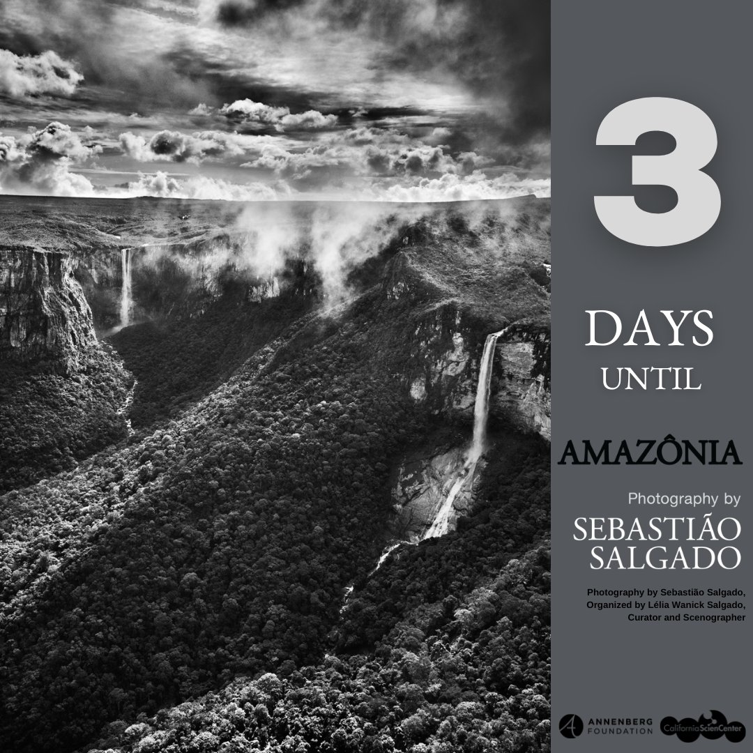 Only 3 days left until #Amazônia opens at <a href="/casciencecenter/">CA Science Center</a>! Plan your visit today: bit.ly/3D5n9uL.