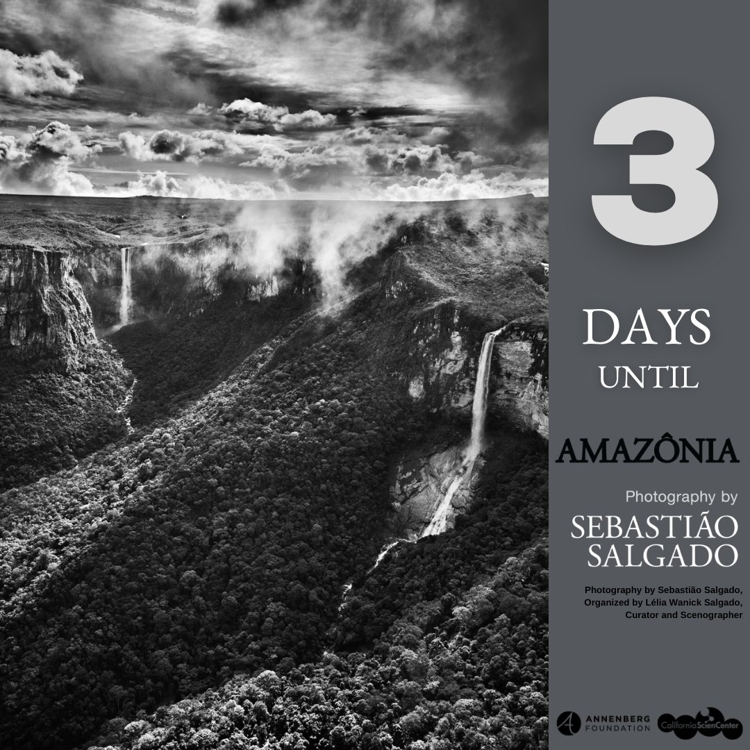 Only 3 days left until #Amazônia opens at @casciencecenter! Plan your visit today: bit.ly/3D5n9uL.