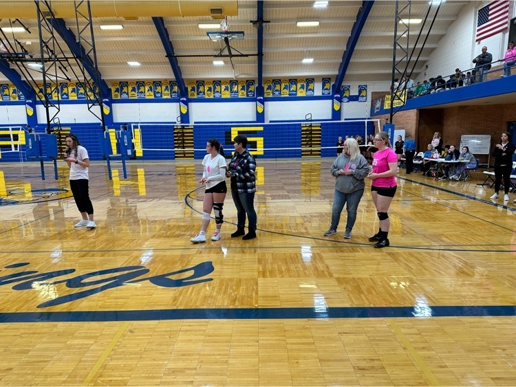 Pink out night tribute Go Vikes!