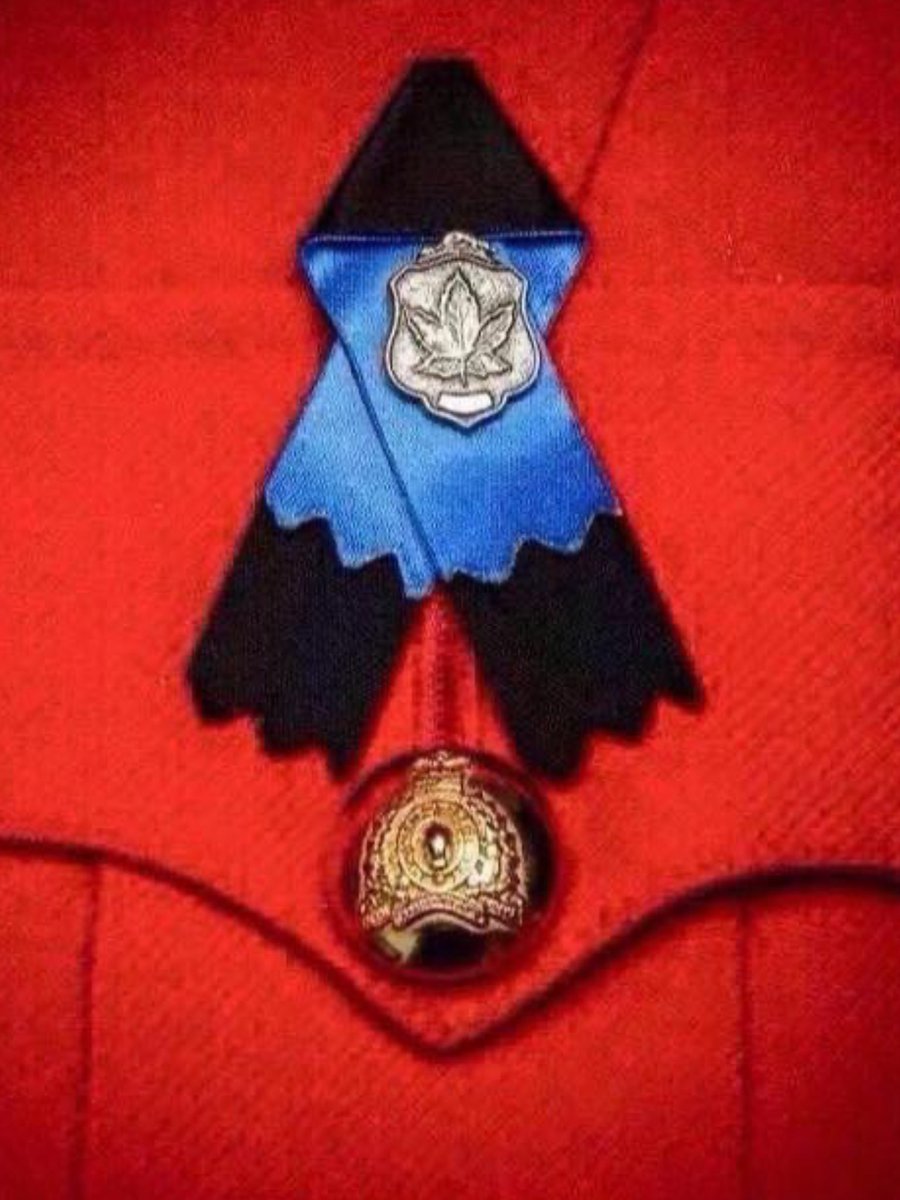 Adrian Woolley tweet media