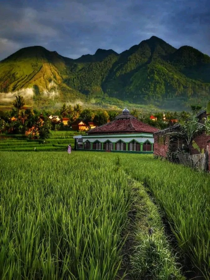 Gita_Gina_'s tweet photo. Terkadang yang membuatku gelisah bukankah musibah yang menguji
Akan tetapi rindu Allah yang gagal aku pahami🌺

🌎 Tarogong Kidul, Garut, Jawa Barat, Indonesia
#PuspitaNagari 🌺 https://t.co/pxvnTPsij6