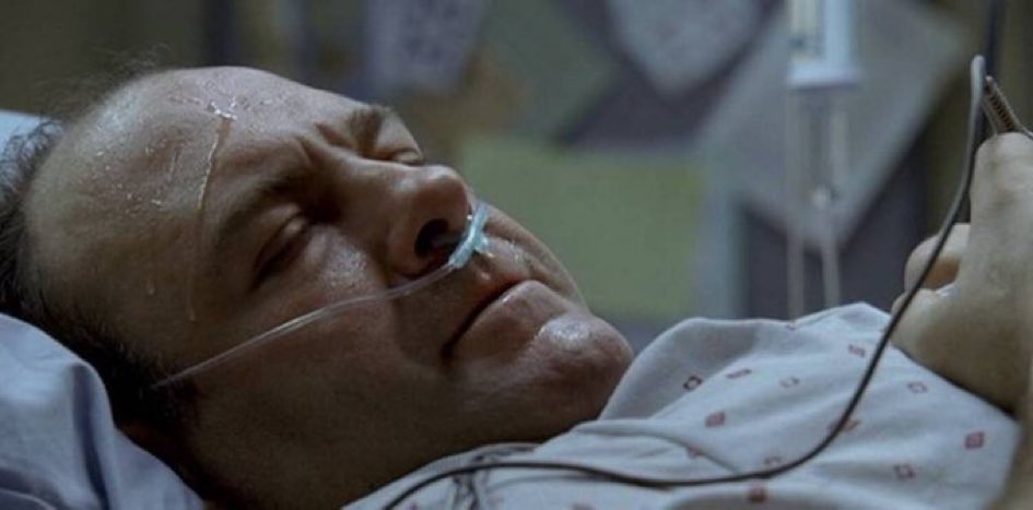 GOOD_PIZZZA's tweet image. My houseplants watching me put water in the bong