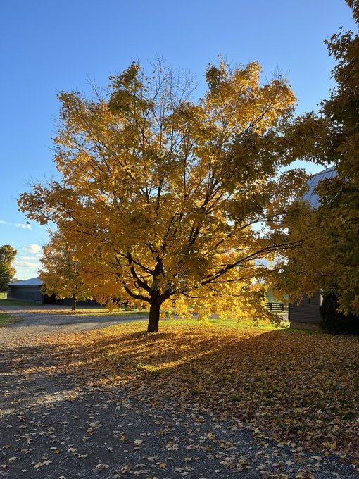 Fall color at sunset&hellip; https://t.co/5rDlf44WD9<a href="/tag/tbt"class="tags"><span>#tbt</span></a><a href="/tag/photography"class="tags"><span>#photography</span></a><a href="/tag/actor"class="tags"><span>#actor</span></a><a href="/tag/actorslife"class="tags"><span>#actorslife</span></a><a href="/tag/headsho"class="tags"><span>#headsho</span></a>