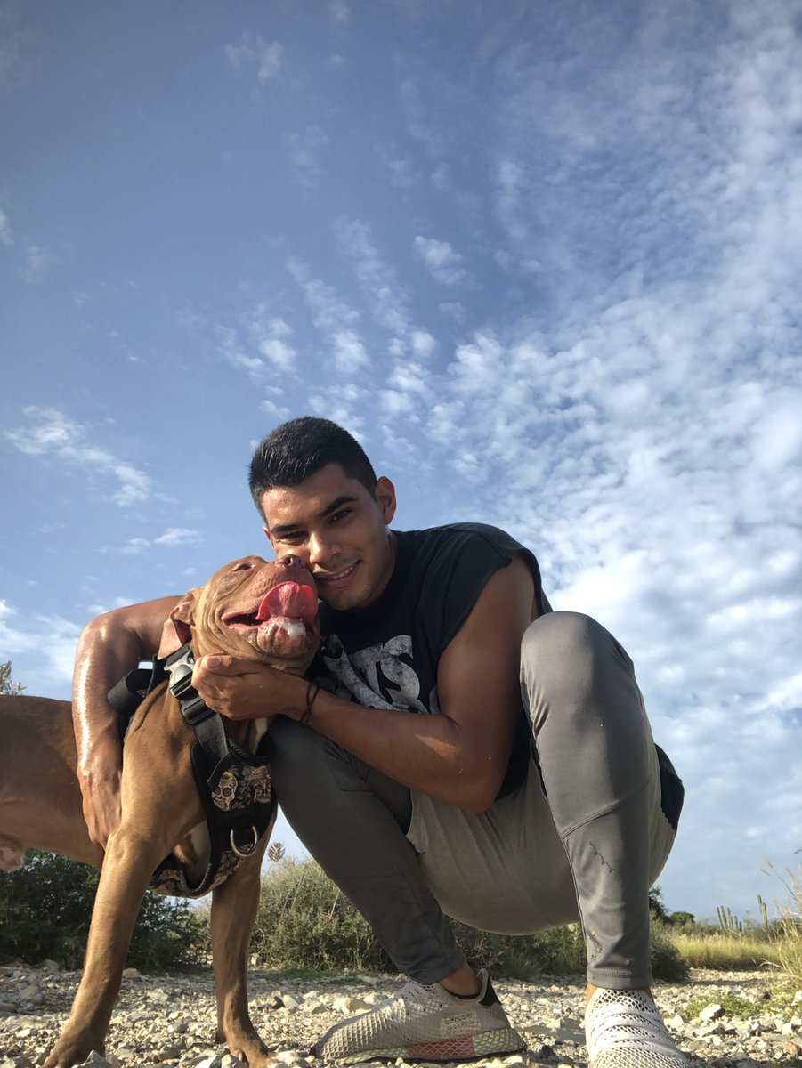 luismasinh's tweet photo. Mi perro es el mejor https://t.co/ZRdKloiyfx