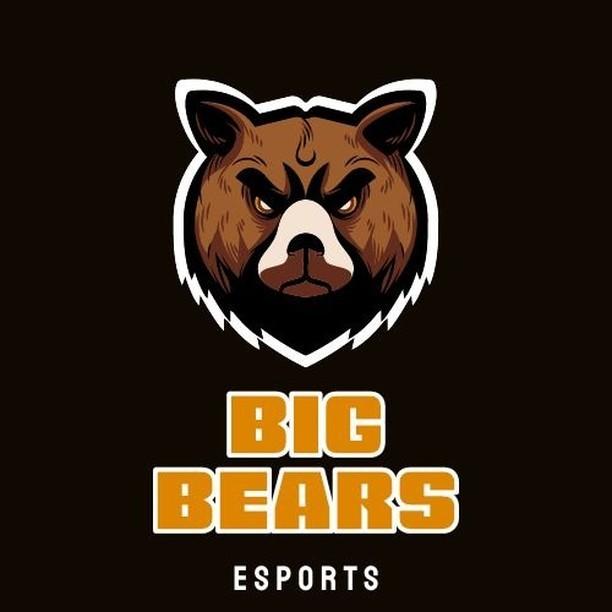 iceFoxBR_'s tweet photo. A Ice Fox está parada e continuará por um tempo, porém novas feras surgiram para lutar nos campos de justiça e nosso apoio vai totalmente para eles!

@BigBearsEsports https://t.co/sOwbyM5SPd