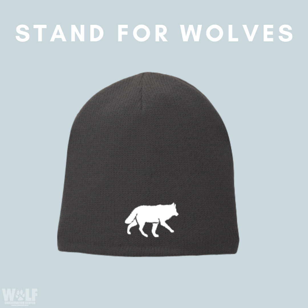 nywolforg's tweet photo. Show your love for wolves with a Wolf Conservation Center beanie! Purchases support the WCC's mission to protect and preserve wolves🐺

Shop now➡ https://t.co/9O0IVkLBxQ https://t.co/oRrl6VWooX
