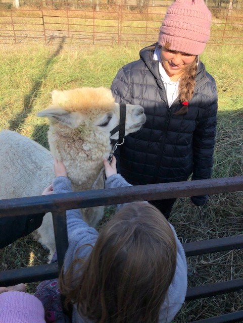 amandakornaga's tweet photo. There is nothing better than when the bigs get to teach the littles! Today, Kendra Laboucane tied her special project work with Bob and George into the grade 1/2 science unit on animals. Way to #LeadtheCharge Kendra! Reaching for Tomorrow, Celebrating Today this Education week. https://t.co/Ej0Gky3S1n