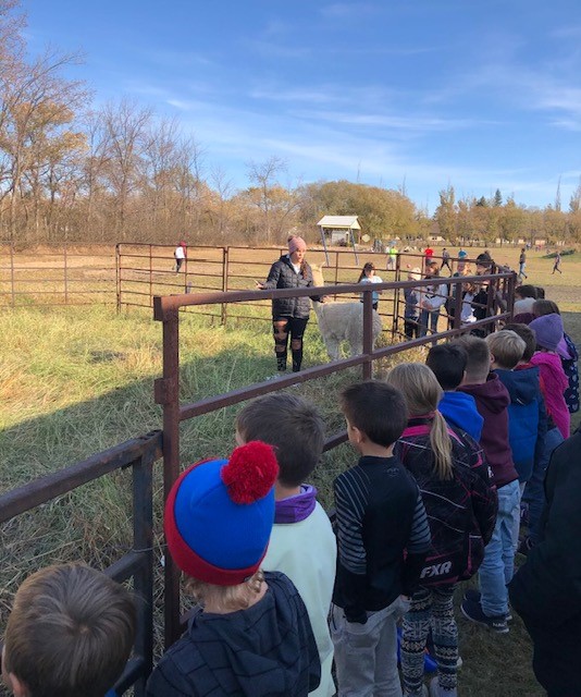 amandakornaga's tweet photo. There is nothing better than when the bigs get to teach the littles! Today, Kendra Laboucane tied her special project work with Bob and George into the grade 1/2 science unit on animals. Way to #LeadtheCharge Kendra! Reaching for Tomorrow, Celebrating Today this Education week. https://t.co/Ej0Gky3S1n