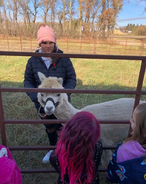 amandakornaga's tweet photo. There is nothing better than when the bigs get to teach the littles! Today, Kendra Laboucane tied her special project work with Bob and George into the grade 1/2 science unit on animals. Way to #LeadtheCharge Kendra! Reaching for Tomorrow, Celebrating Today this Education week. https://t.co/Ej0Gky3S1n
