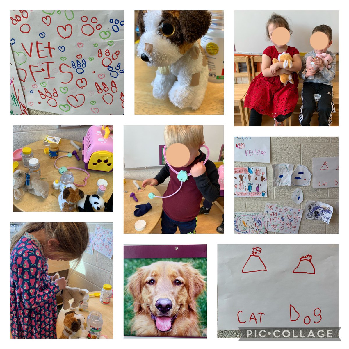 Students in KMB decided to turn the house centre into a Vet office. They chose the materials , made signs and assigned roles .  The office is up and running. Make your appointment now ! <a href="/StirlingPS/">Stirling PS</a> #kindergarteninquiry #vetoffice #studentled