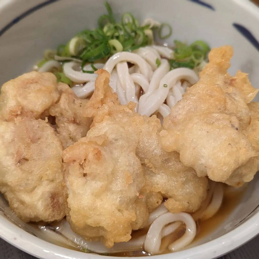 ma5a0s's tweet photo. #冷しとり天ぶっかけ
#おにやんま
#2tw https://t.co/Uyiuab2Ee7