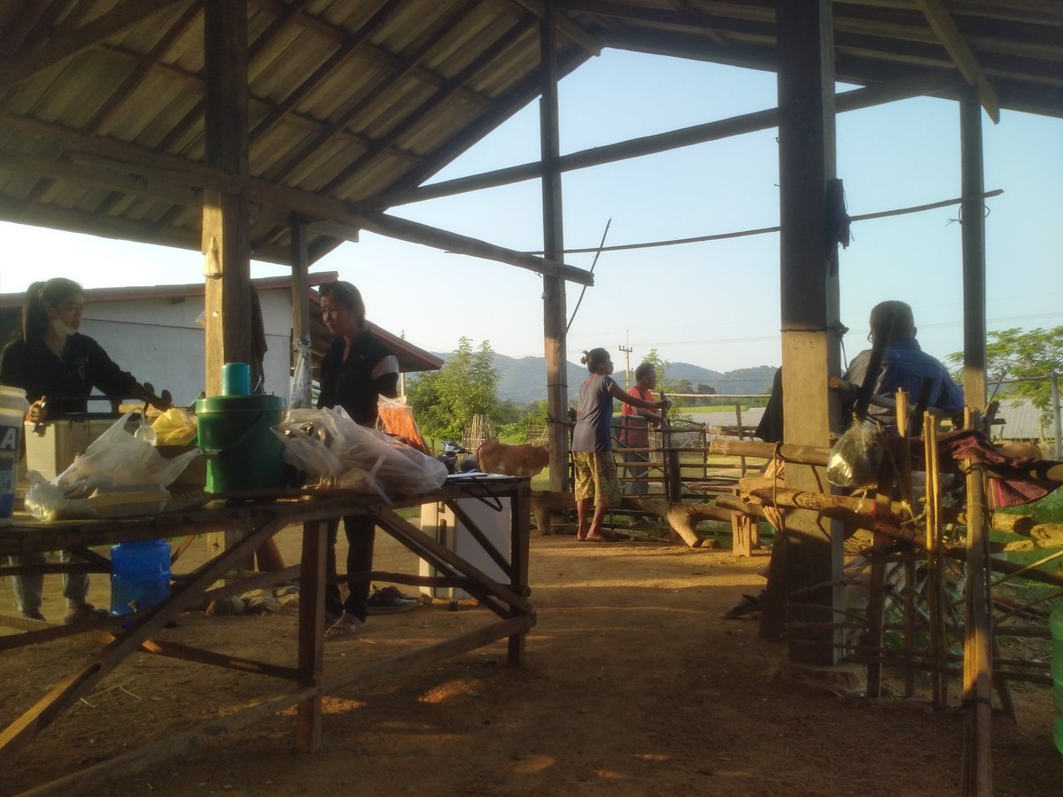 Pingguman tweet media