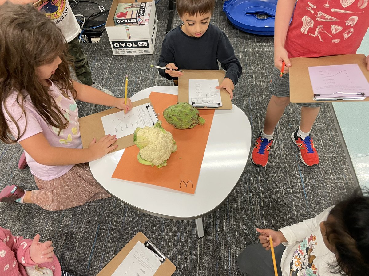 MrsVolentine's tweet photo. We explored the edible parts of plants today! I’m so thankful we have parents who donate and create these fun learning experiences for our kiddos! https://t.co/BM4eyMwCM8