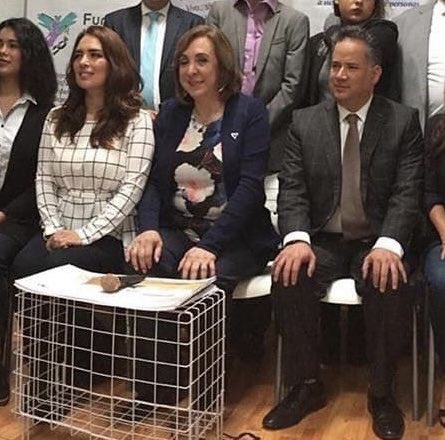 unidosxGT tweet media