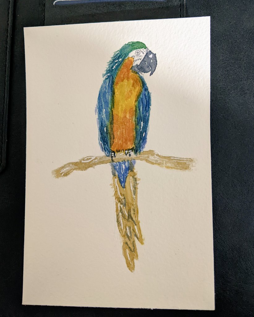 Ardishasoyyo's tweet photo. Day 13. M for Macaw! #jesstober22 https://t.co/DdfCEBrJvr