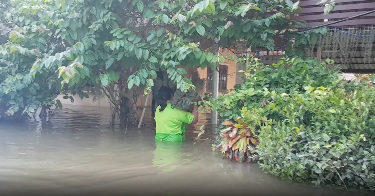 ctrmcot's tweet photo. น้ำท่วม ต.บางหลวง อ.สรรพยา จ.ชัยนาท ยังวิกฤติ ท่วมสูงกว่า 1 ม.บางจุดในที่ลุ่มต่ำสูงเกือบ 2 ม. แม้น้ำจะลดลงบ้าง แต่บ้านบางหลังน้ำเพิ่งจะลดลงไปจากกระดานบ้านชั้น 2  ชาวบ้านยังคงเดือดร้อน ต้องอาศัยอยู่กับน้ำ และใช้เรือสัญจร @TNAMCOT https://t.co/5lqh3g8oFK