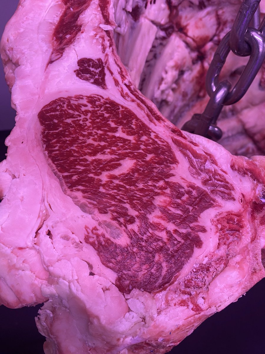 Great day at #beefex22 showcasing the awesome carcass grading technologies #ALMtech has been working with over the past 6 year! Advancing our industry through improved measurement accuracy &amp; transparency