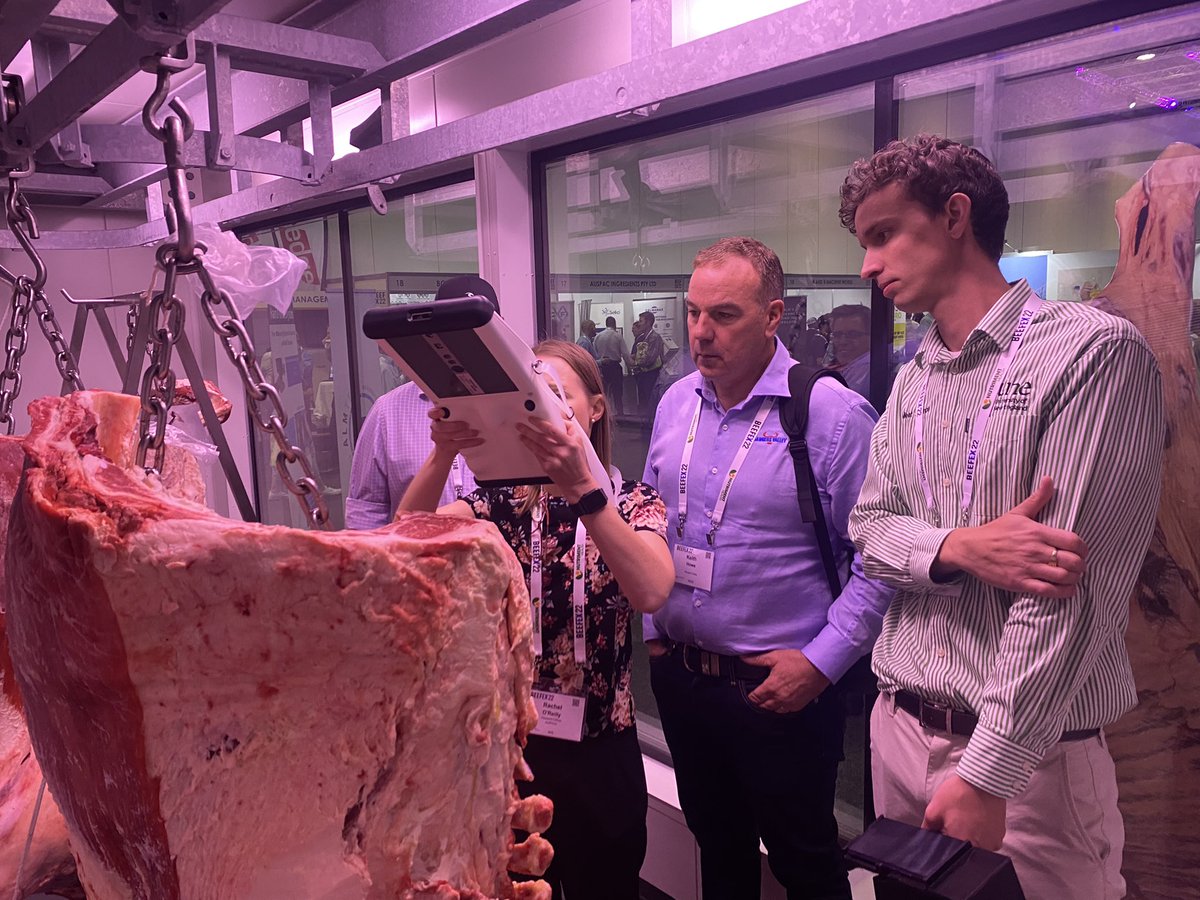 Peter McGilchrist tweet media