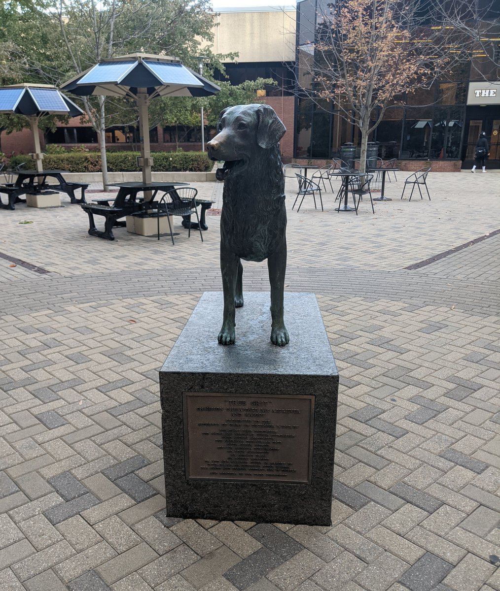 miz_j's tweet photo. Always a pleasure to see #TrueGrit, but mostly finally to get back to in-person @UMBC_CWIT events.  So many talented, amazing, prepared students, faculty, and volunteers. Y'all are awesome, #CWIT, #CyberScholars, #TSiteScholars, and #Allies!
#YouGoGirls #UMBCCWIT https://t.co/nqlMGdC8CS