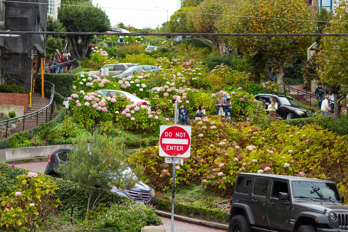 RamonAaronMora's tweet photo. Lombard Street es conocida por la cuadra de sentido único en Russian Hill, se dice que ocho giros cerrados la convierten en la calle más sinuosa del mundo.
#SFcity #SanFrancisco #LombardStreet #StreetsofSF #SFstreets #BayArea #California #FamilyTime #Anniversary #Memories https://t.co/0mMwrLSQPA