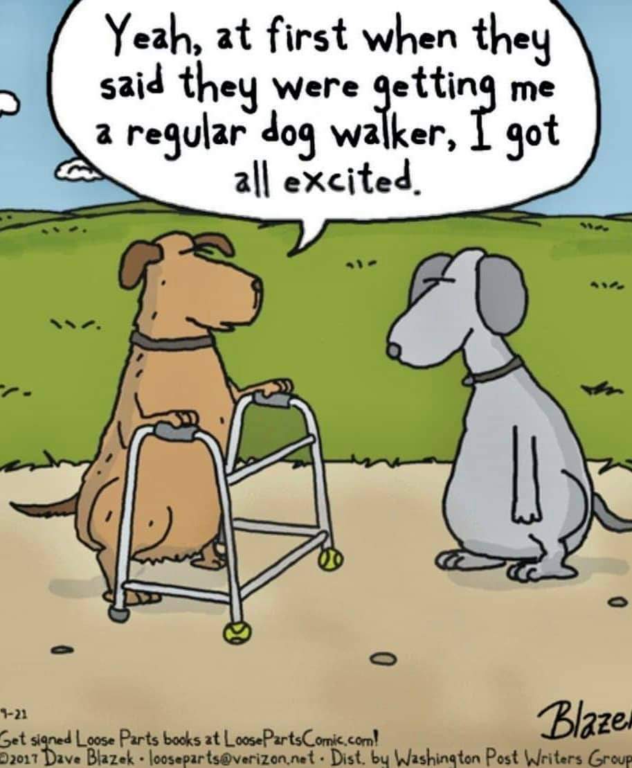 timhill (@timhill20) on Twitter photo 