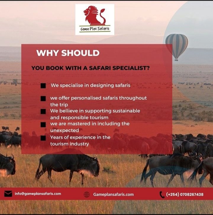 Why choose us as your most Preffered Tours and Travel agency?
With over 20 years of experience and over 3000 clients, we have perfected the Tourism Industry 
Call us to get started 0708267438
 #bushwalks #safariadventures #safariholidaydogs