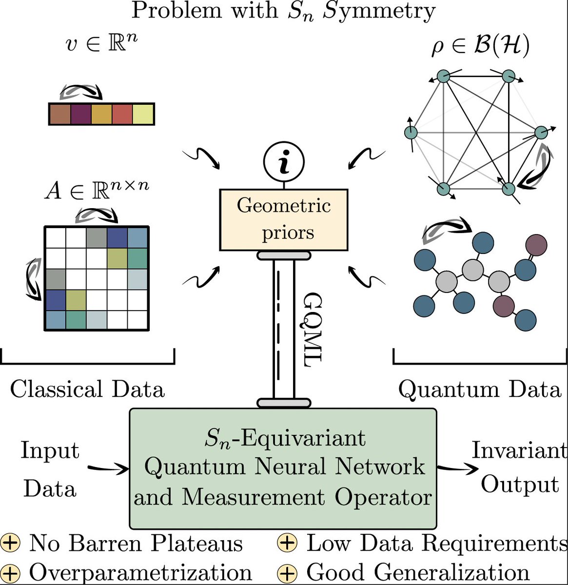 After giving a theory for geometric quantum machine learning, in arxiv.org/abs/2210.09974 we prove that permutation-equivariant quantum neural networks (EQNNs)
•Don’t exhibit barren plateaus
•Quickly reach overparameterization
•Generalize well from small datasets
(🧵1/8)