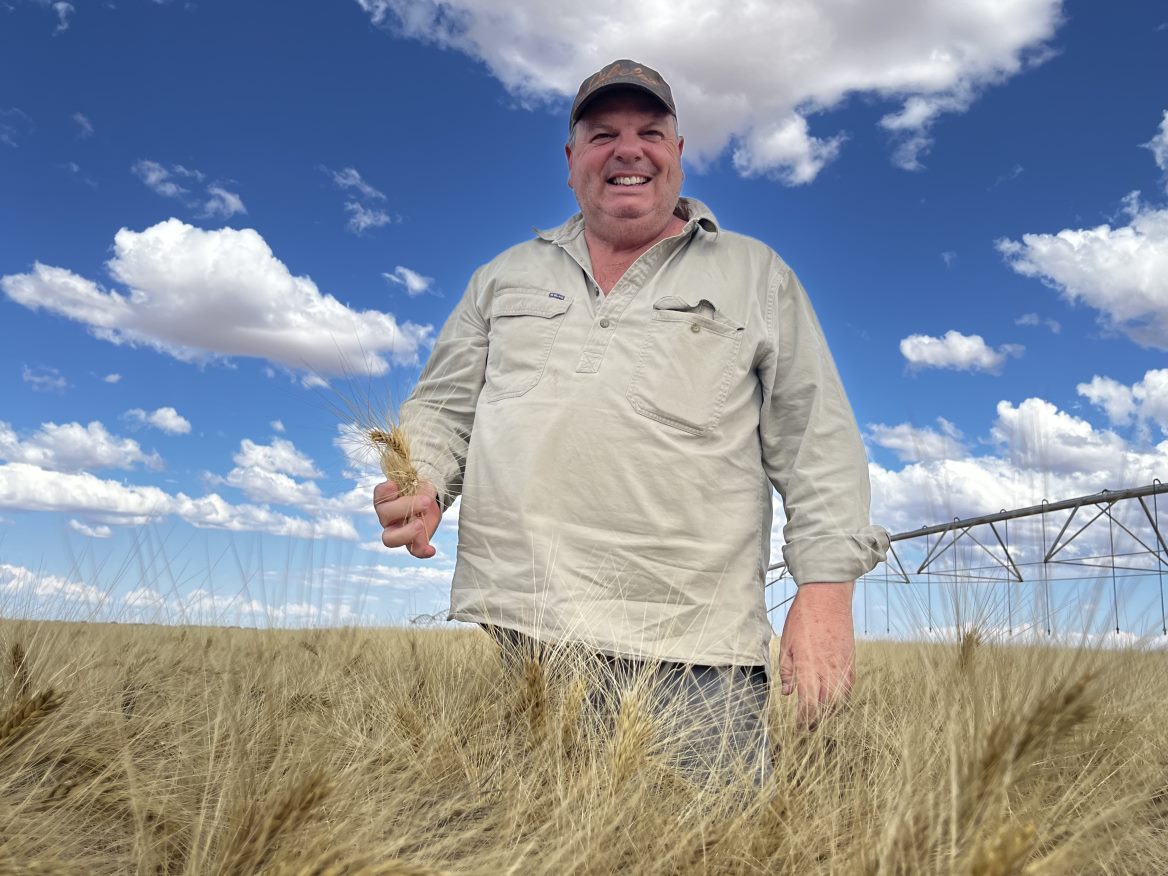 Is this Australia's most remote crop of wheat? 

Check out the durum crop being harvested, nearly 400km north of Alice Springs #NT 

Story: abc.net.au/news/2022-10-1…