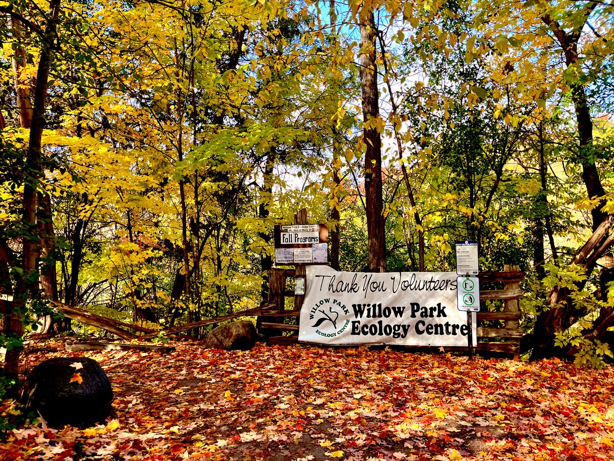 kixtastik's tweet photo. 11th Brampton Guides & 15th Brampton Brownies enjoyed the colours of the season at our Fall into Nature day camp ππ
@willowparkecology @girlguidesofcan @girlguidesonnv #fallfunday https://t.co/T0rZgdu352