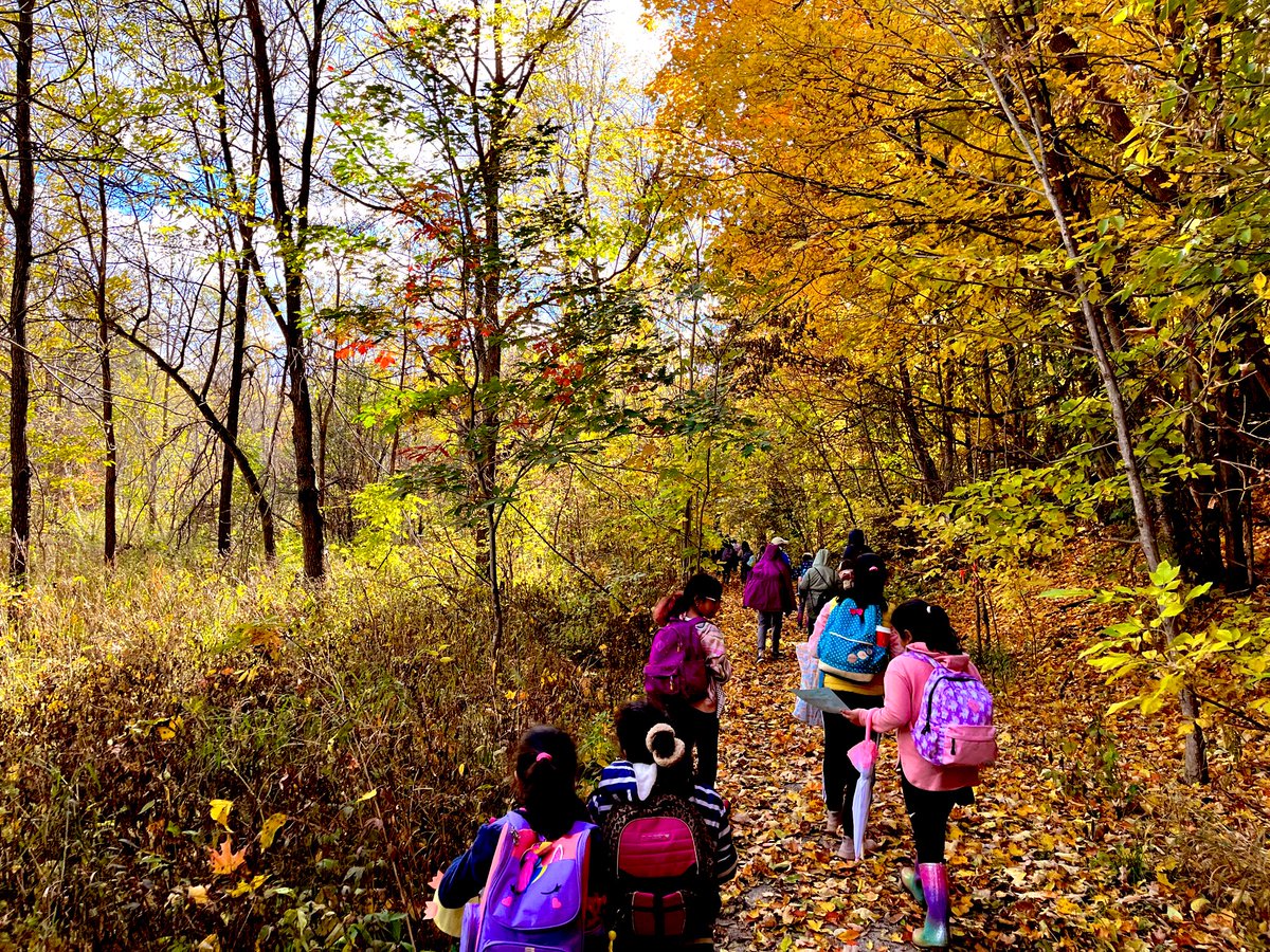 kixtastik's tweet photo. 11th Brampton Guides & 15th Brampton Brownies enjoyed the colours of the season at our Fall into Nature day camp ππ
@willowparkecology @girlguidesofcan @girlguidesonnv #fallfunday https://t.co/T0rZgdu352