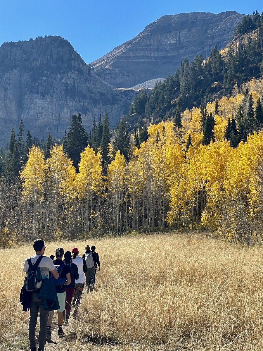 🍁 Tess's tea bag wisdom, fall edition🍁 change is in the air from magical weather &amp; planetary transitions, friends dealing with health &amp; work shifts, letting age sink in with humility and grace, and more this month. trying my best to breathe, let go, enjoy the "new hellos"!