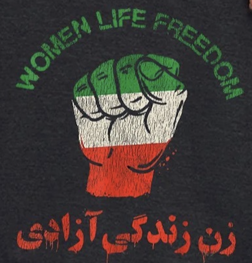 FarshidSafi's tweet photo. Engaged in Equity &amp; Justice efforts in #education? PLEASE amplify, retweet, raise awareness to the violence against school-aged CHILDREN and university students that are being killed, beaten, arrested and tortured during #IranProtests2022 in support of #WomenLifeFreedom (2 of 2) https://t.co/Nia3Dew9Xz