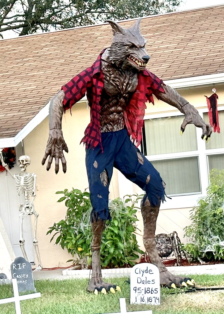 PoppyKeith's tweet image. 