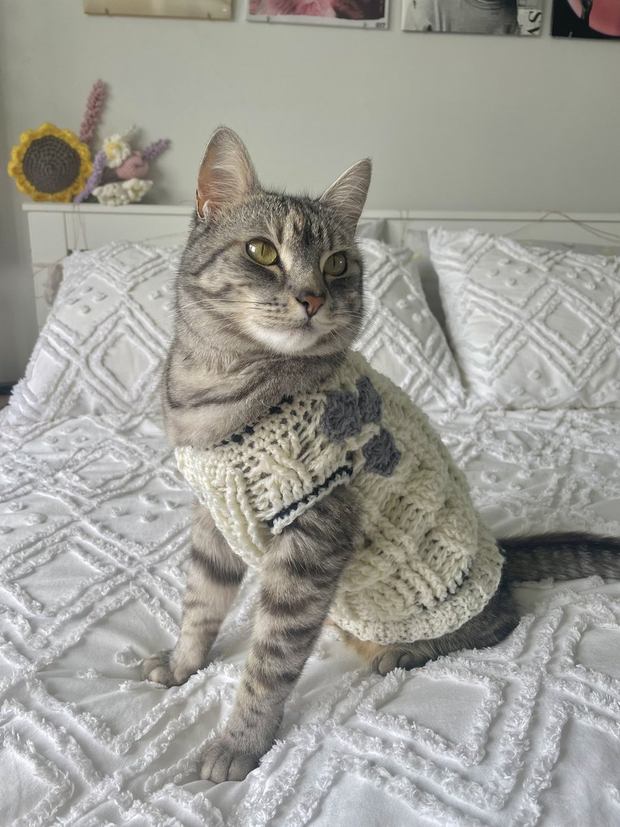 tarasname's tweet photo. I made ellie a cardigan and I need everyone to see it pls #TSmidnighTS #TaylorSwiftMidnights #TaylorSwift @taylorswift13 @taylornation13 https://t.co/e3bVKpngag