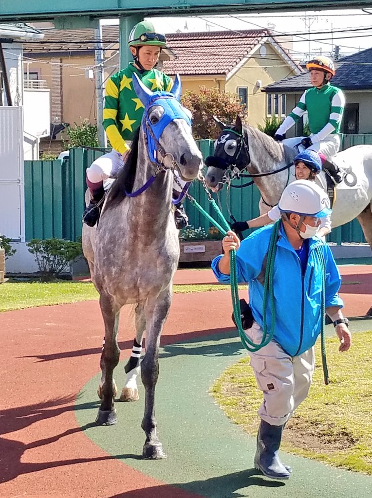 浦和6R
#コスモリカバリー
#ゴールドシップ産駒
#浦和競馬
可愛いリカバリー🐴♥
また会えて嬉しい😊
 