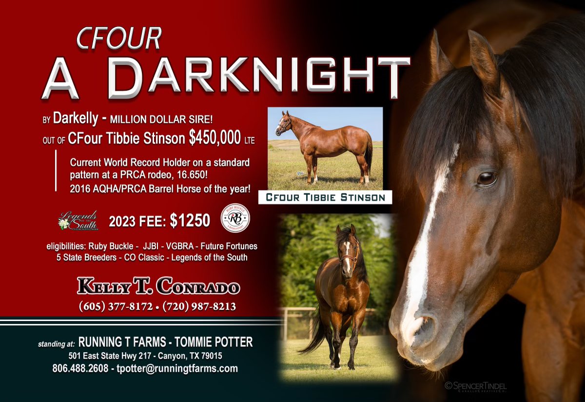 CFour A DarKnight 
2015 Brown stallion
Darkelly x CFour Tibbie Stinson (LTE: $450,000+)
5 Panel N/N 
15 Hands
Incentives: Ruby Buckle, Royal Crown, Legends of the South, Future Fortunes, Colorado Classic, 5-State Breeders, JJBI, VGBRA.
Owned By: Kelly Conrado  
Fee: $1250