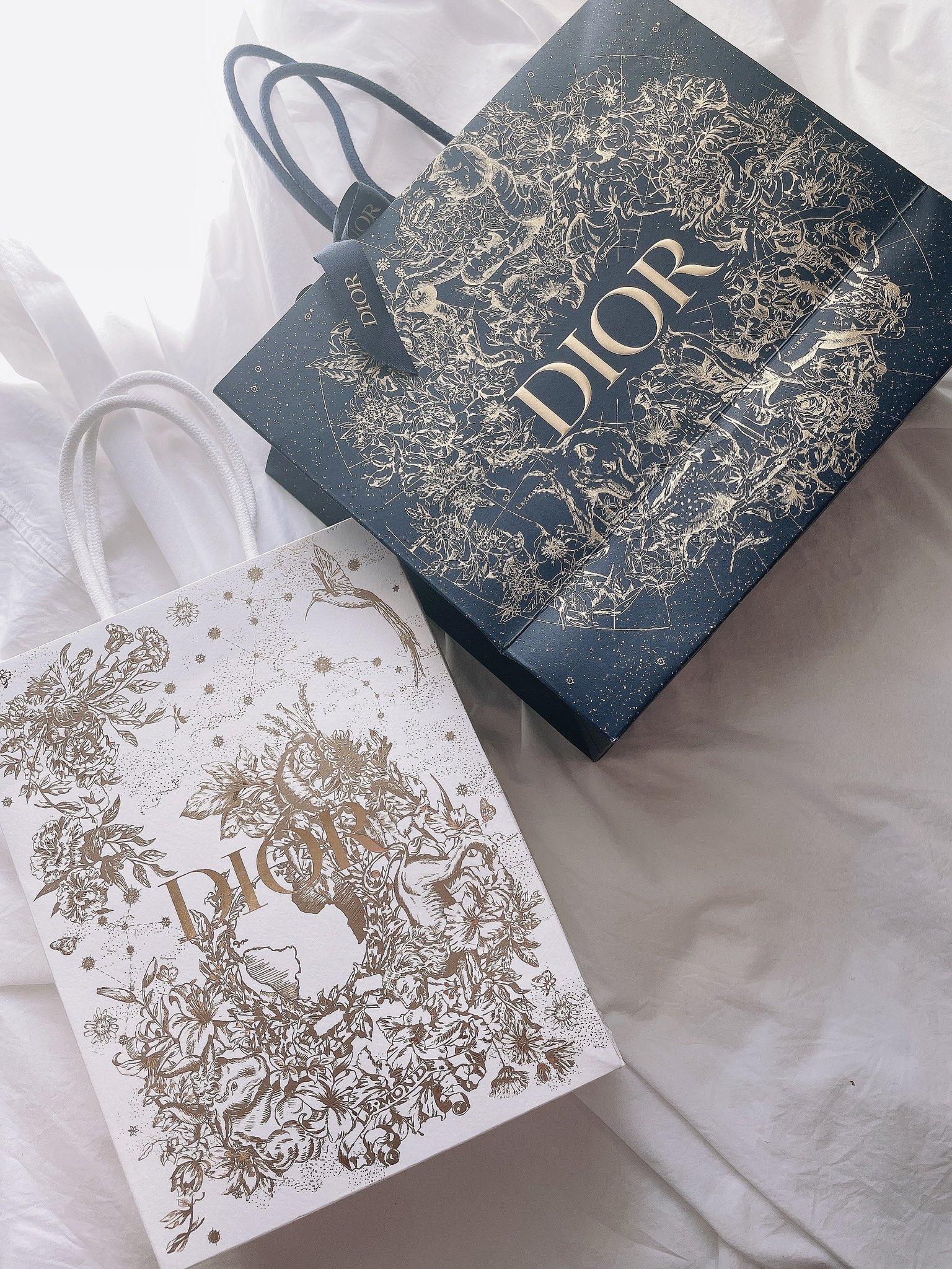 DIORコスメショッピングバッグ