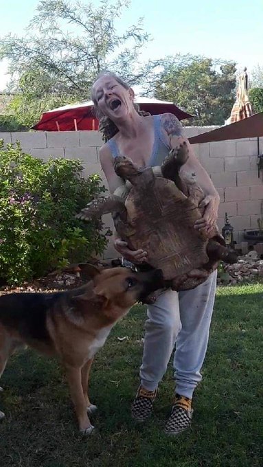 I'm raising money for Building a animal rescue farm!. Click to Donate:  https://t.co/OsSJV2HVfg #GoFundMe<a href="/tag/gofundme"class="tags"><span>#gofundme</span></a>