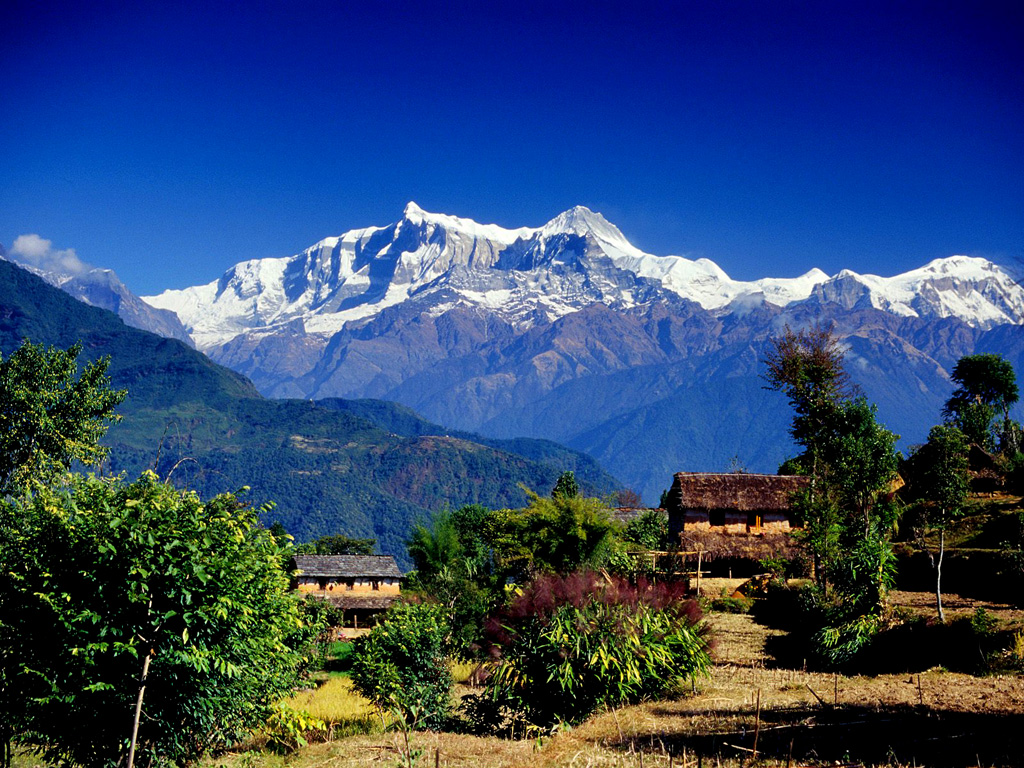 Pokhara tweet media