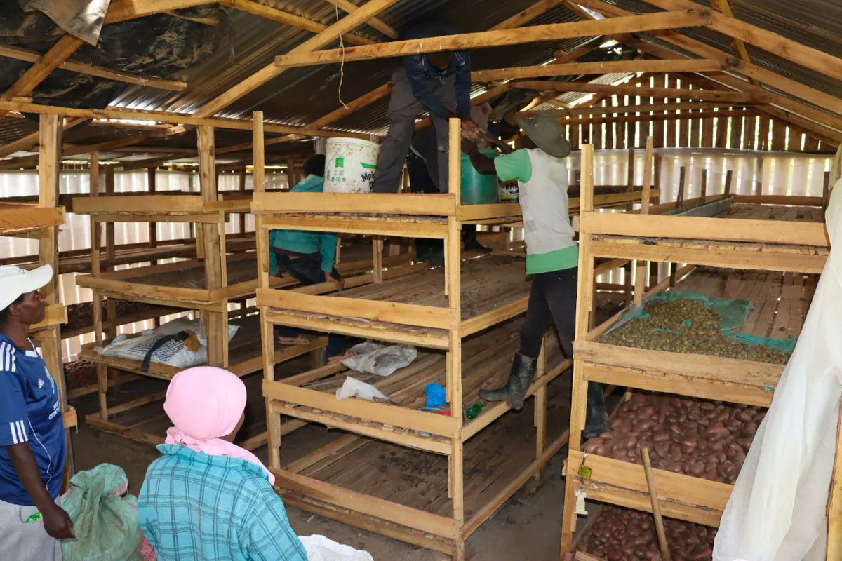 IFDC Kenya tweet media