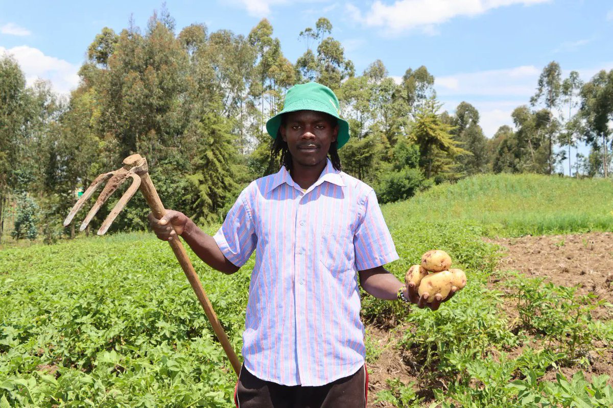 IFDC Kenya tweet media