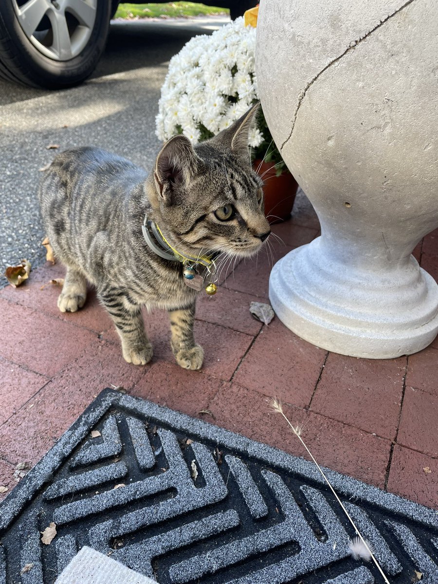 I think im going to keep him 😍💯