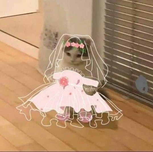 mintchocohun's tweet photo. @tqmjunhee Preparada para la boda https://t.co/q1sMa8ED3o