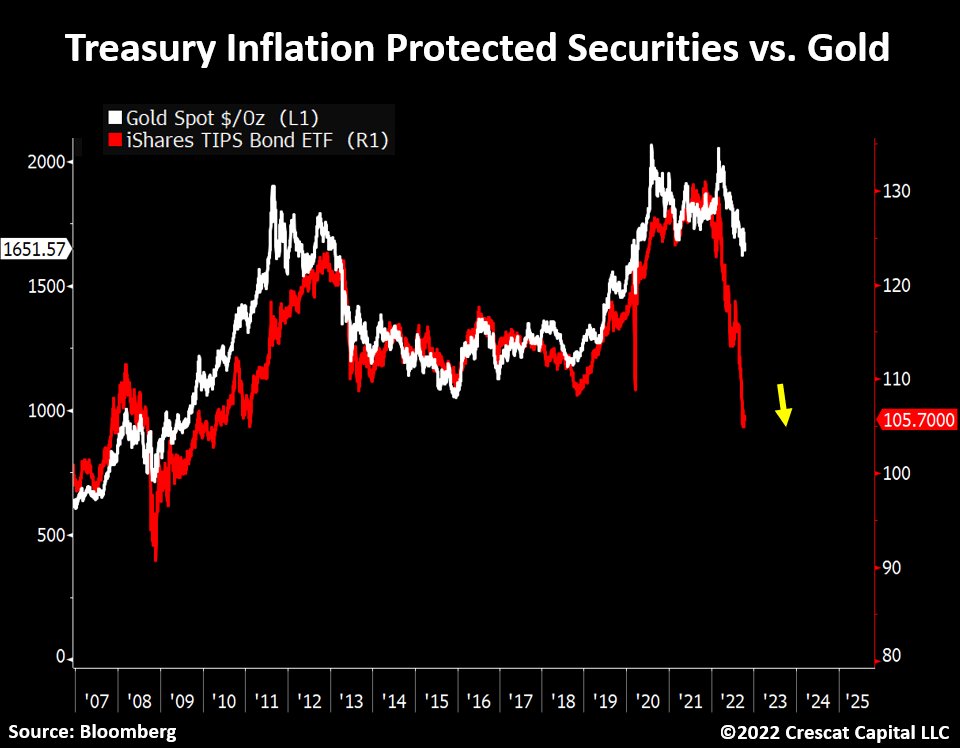People love to bash gold, but remember when Treasury Inflation-Protected securities were supposed to do what their actual name says?