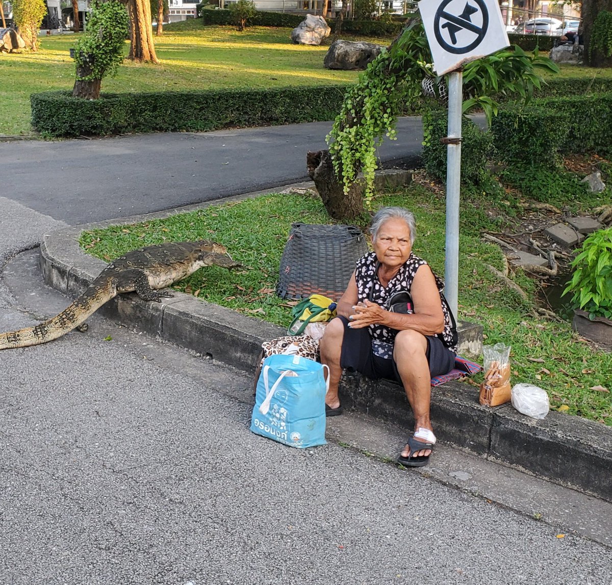 kylecassidy's tweet photo. Oh Hai. More gigantic lizards on the jogging trail. Nobody cares. #lumphini #bangkok #running #SeenOnMyRun https://t.co/9BVd52GEpS