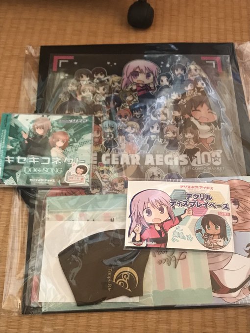 アリスギア公式グッズとメロブでの成果と届いたまま整理していなかった同人誌
こういうデカいグッズを綺麗に保管する方法ないかな?初代服袋とか皺だらけよ 