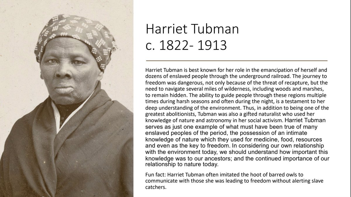 Black in Natural History Museums tweet media