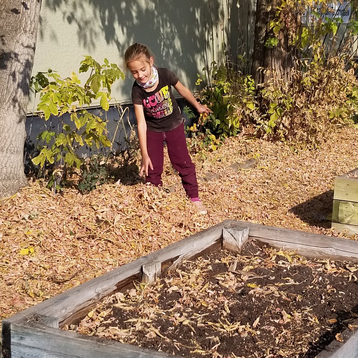 MOkrainetz's tweet photo. Enjoying some learning outside while cleaning out the school garden beds. #TakeMeOutsideDay https://t.co/RbCriu8mTy