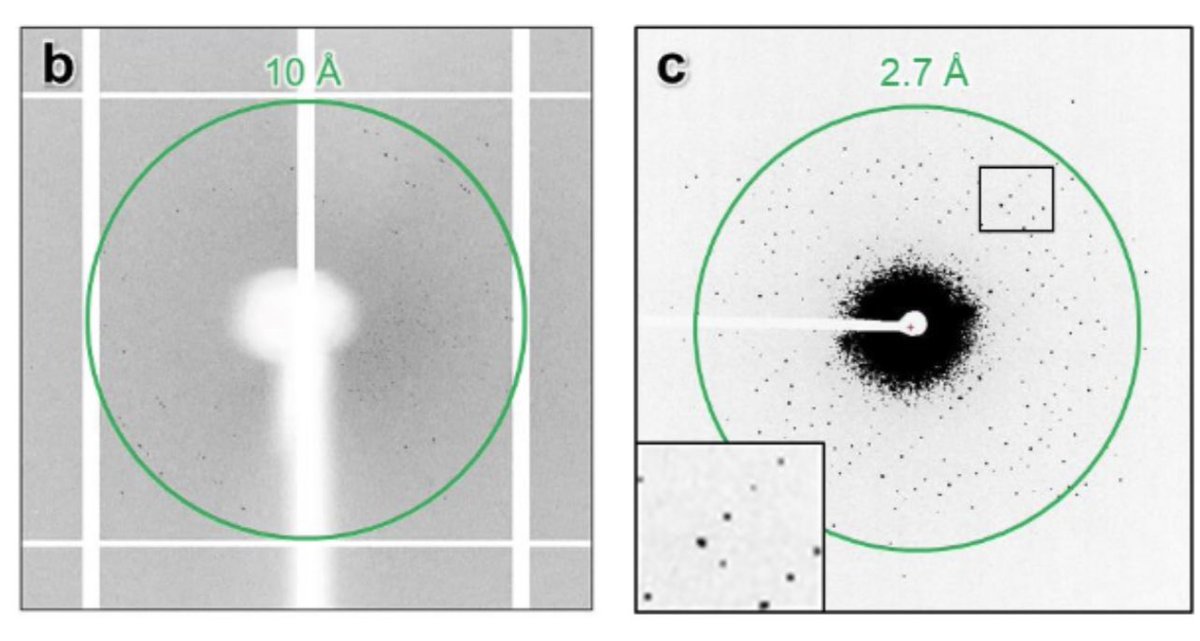 gonenlab's tweet image. Crystal clusters diffracted poorly at synchrotrons but yielded 2A by MicroED with excellent refinement  statistics. Data collected on. Titan Krios at 300kv, with a falcon4 in counting mode